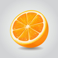 Orange fruit vector illustration