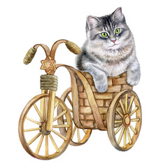Lovely cat in the basket. Kitten on a decorative bicycle. Watercolor. Illustration. Template. Handmade