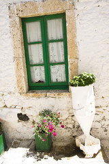 Fototapeta na wymiar exterior decoration of flowers and pots in greek style