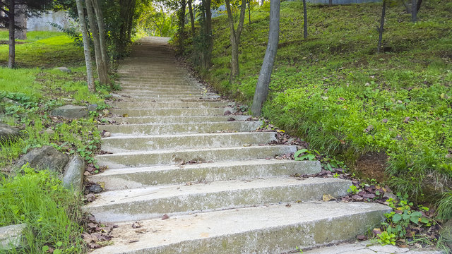 Stairs in the Botanical Garden of Istanbul.
