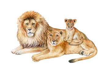 Family of lions isolated on white background. Father, mother, child. The lion, the lioness, the lion cub. Watercolor. Illustration. Template © Yuliia