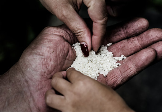 On the palm of the man lies a lot of rice grains. Children's and women's hand take one grain
