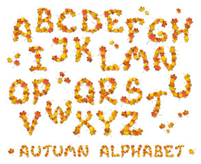 Set of autumn alphabet letters
