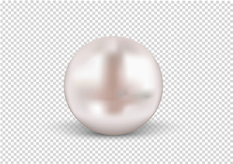 Round Pearls Necklace on transparent background