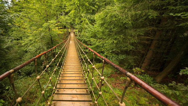 Seilbr&uuml;cke im Wald