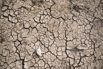 Dried Lake Bed