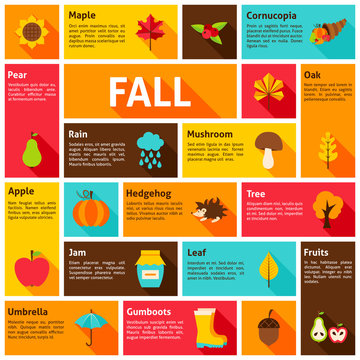 Fall Infographic Concept