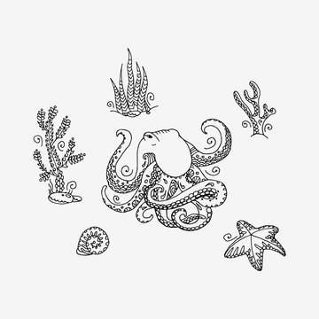 Cartoon octopus. Hand drawn vector illustration.