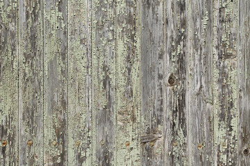 old chipped wooden plank wall for background