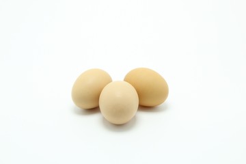 eggs