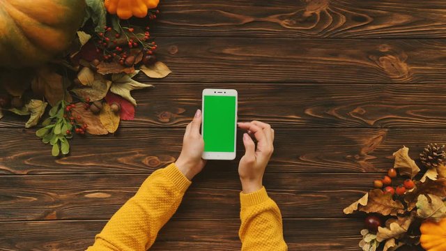 Top view of autumn flat lay with maple leaves, nuts, pumpkin and phone with green screen in vertical position on wooden table. Woman hands scrolling, zooming pages. Top view. Chroma key