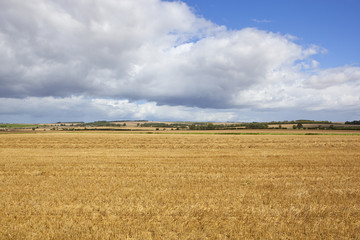Fototapeta na wymiar scenic harvest
