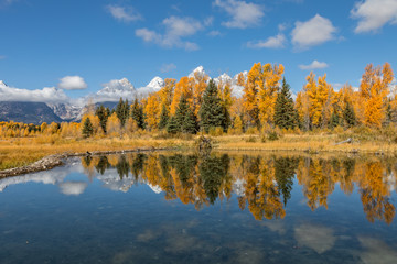 Scenic Fall Reflection in the Tetons