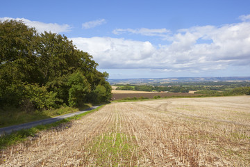 yorkshire wolds scenery