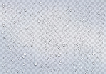 Realistic rain drops on the transparent background. Vector