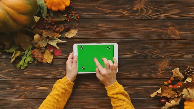Autumn flat lay with maple leaves, pumpkin and white tablet computer on the brown wooden table. Woman hands scroling, zooming pages. Top view. Chroma key. Tracking motion