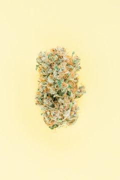 marijuana bud on pastel yellow background