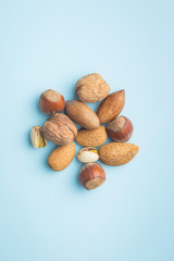 Different types of nuts in the nutshell.