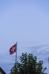 swiss national flag with dark sunset cloudy sky and tree