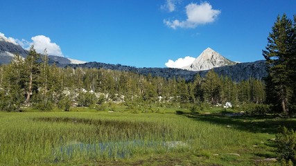 Meadow peak