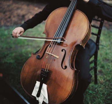 Cello!