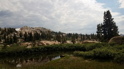 Cloudy meadow