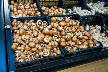 champignons in boxes