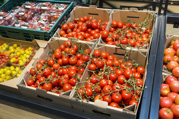 tomatoes on the counter in the boxes