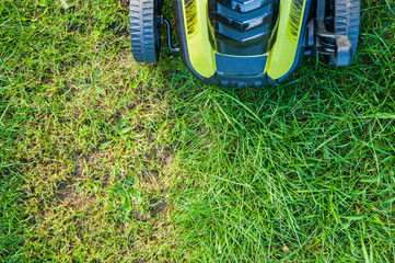  lawn mowing / mowing the lawn / autumn time in the garden