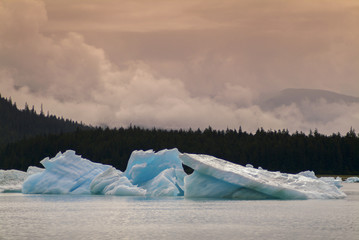 Fototapeta na wymiar Icebergs from the Leconte Glacier. Colorful ice from the Leconte Glacier moves out to LeConte Bay on the inside passage in southeast Alaska near the city of Petersburg. 