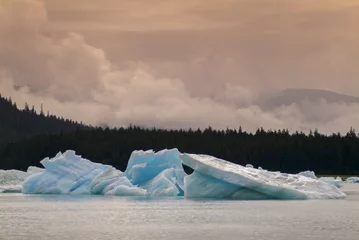 Handdoek met foto Gletsjers Icebergs from the Leconte Glacier. Colorful ice from the Leconte Glacier moves out to LeConte Bay on the inside passage in southeast Alaska near the city of Petersburg.   © LoweStock