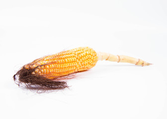 Corncob on a white background