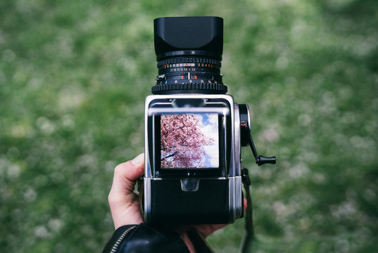 Watching through the viewfinder of a Medium Format Camera