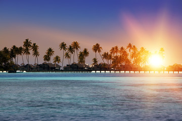 Fototapeta na wymiar Palm trees on island in the sea