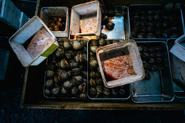 Metal and plastic trays containing clams and blood