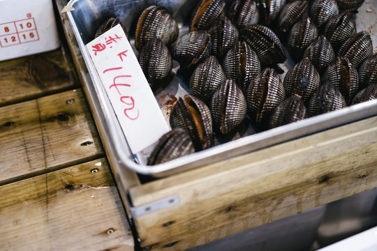 Metal tray containing clams and a Japanese price tag