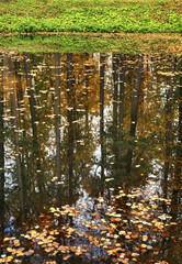 Fototapeta premium Park of manor Marfino. Moscow oblast. Russia
