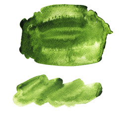 Green watercolor stains set on white background. Hand drawn watercolor illustration.