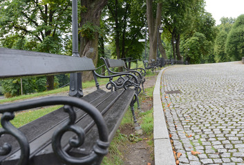 Old metal vintage benches with wood in raw paint in black
