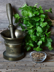 Coriander - green leaves and seeds