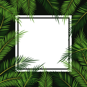 Palms tree frame icon vector illustration graphic design