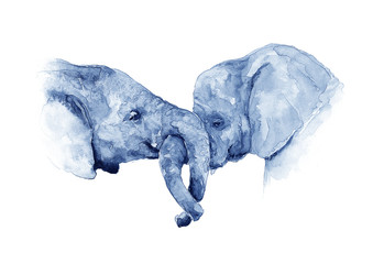 Naklejka premium The Elephants - Friends