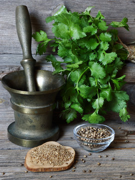 Coriander - ground, grains and green leaves