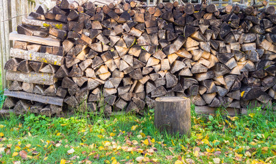 firewood