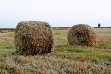 A hay ball on the field awaiting transportation to the storage.