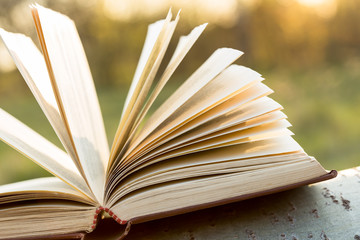 Education and wisdom concept - open book under sunlight