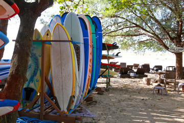 Stack of surfboards ready for rent on the beach
