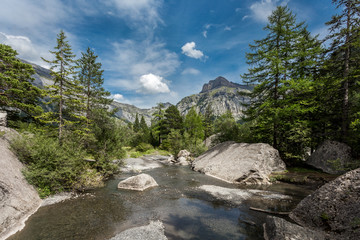 Obraz premium rivière de montagne entre rocher et sapins
