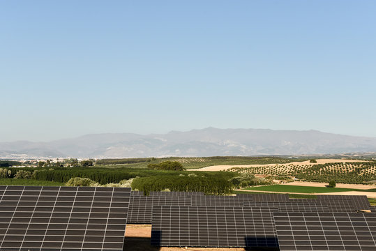 Field of solar panels, Andalusia, Spain