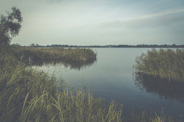 Lake in the thickets at the end of the world